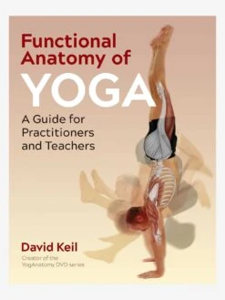 Functional Anatomy Of Yoga