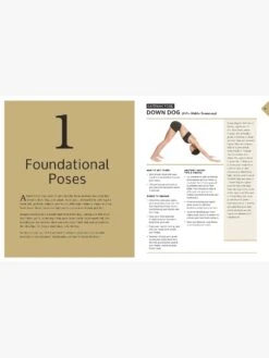 The Complete Book Of Yoga Inversions -Clothing Shop The Complete Book of Yoga Inversions 9780785838319 2