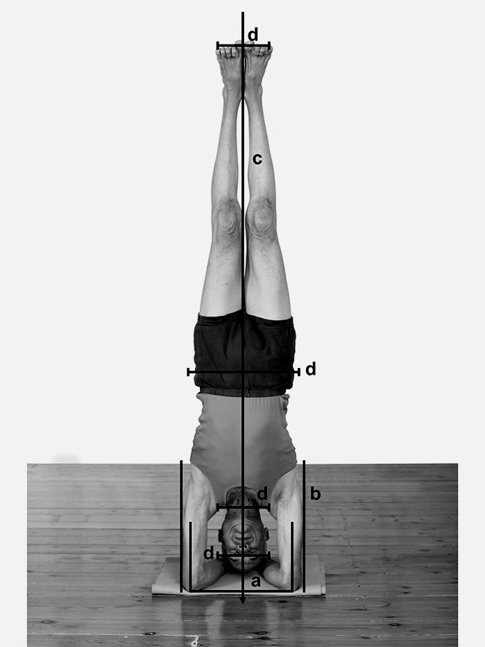 Props For Yoga Volume 3: Inverted Asanas 3 Props For Yoga Volume 3: Inverted Asanas - Image 3