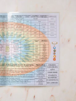 Chakras Laminated Folded A4 -Clothing Shop the chakras folded right page